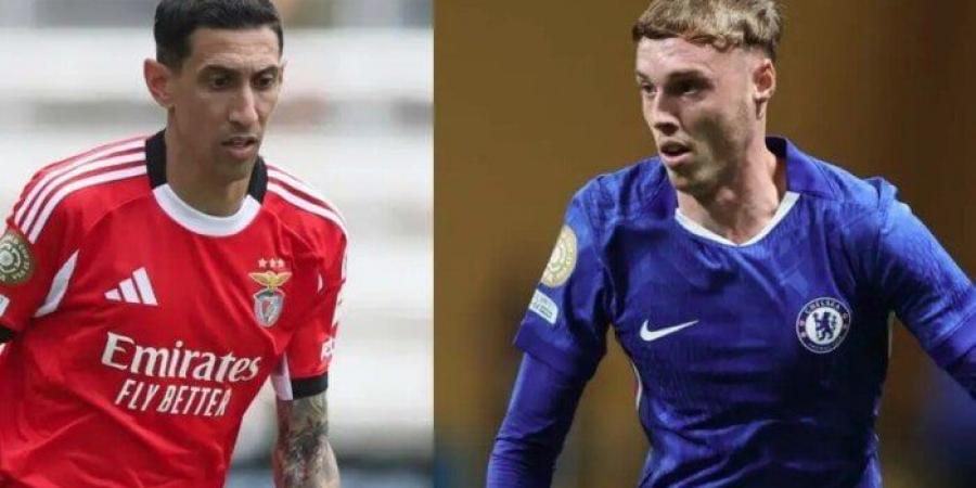 بالبلدي : موعد
      مباراة
      تشيلسي
      وبنفيكا
      في
      كأس
      العالم
      للأندية
      والقنوات
      الناقلة