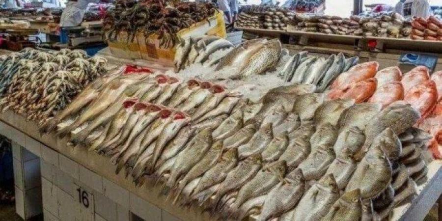 بالبلدي: أسعار
      السمك
      اليوم
      السبت
      28
      يونيو
      2025
      في
      الأسواق..
      البوري
      بـ220
      جنيها