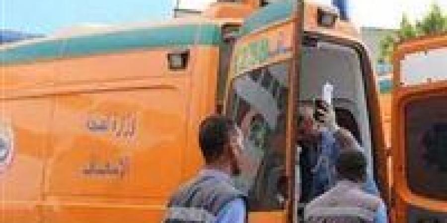 بالبلدي : إصابة
      معلمين
      بحادث
      طريق
      أسيوط-
      المنيا
      أثناء
      مشاركتهم
      بتصحيح
      الدبلومات
      الفنية