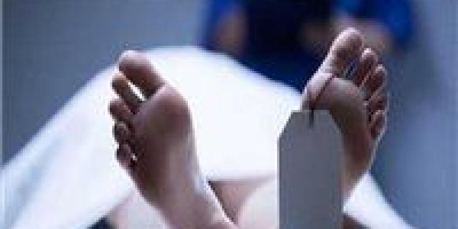 بالبلدي: التحقيق
      في
      مصرع
      سيدة
      إفريقية
      بمدينة
      6
      أكتوبر
