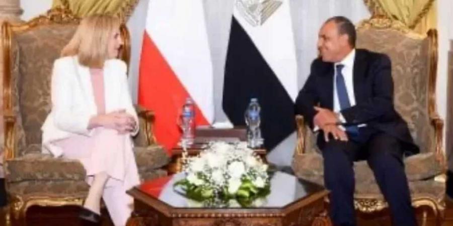 وزير
      الخارجية
      يجري
      مشاورات
      سياسية
      مع
      نظيرته
      النمساوية