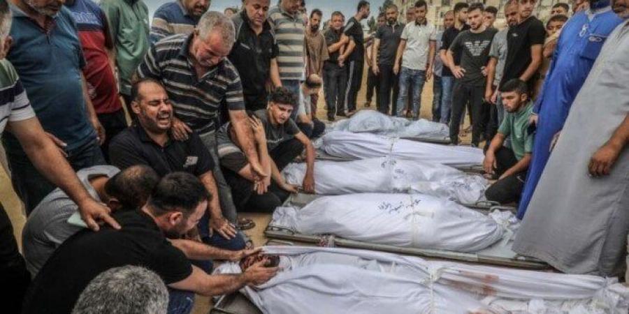 بالبلدي: 8
      شهداء
      ومصابون
      جراء
      قصف
      الاحتلال
      مدينة
      غزة
      وخان
      يونس