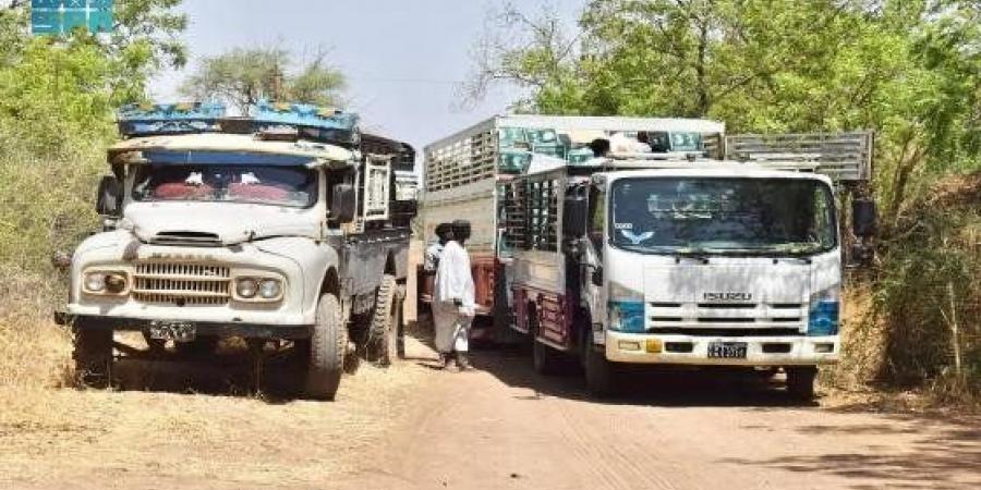 بالبلدي: “إغاثي
      الملك
      سلمان”
      يوزع
      مساعدات
      غذائية
      في
      السودان واليمن
      –
      القاهرة
      تايمز