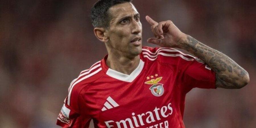 بالبلدي: برصيد
      4
      أهداف..
      «دي
      ماريا»
      ينفرد
      بصدارة
      هدافي
      كأس
      العالم
      للأندية