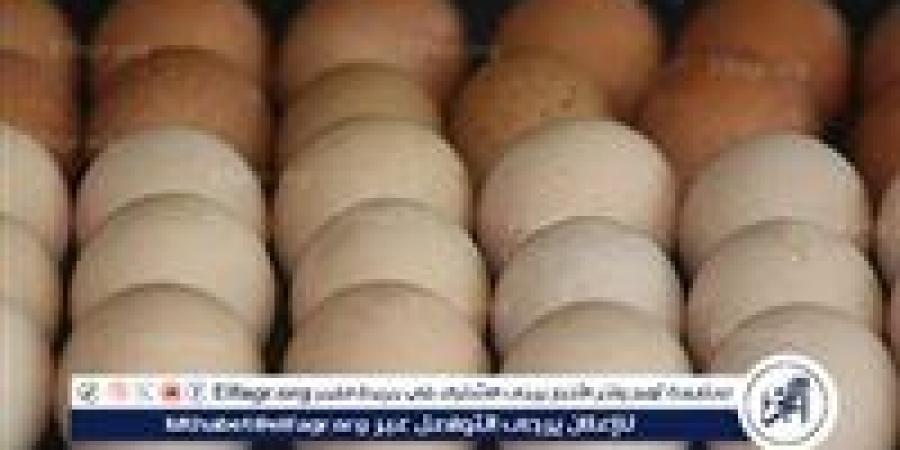 بالبلدي: أسعار
      طبق
      البيض
      اليوم
      الاحد
      29-6-2025
      في
      قنا