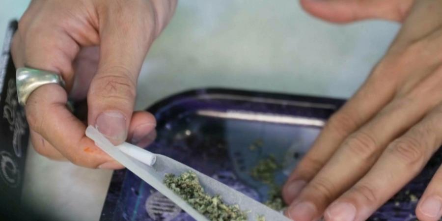 بالبلدي: بعد 3 سنوات من إزالته من قائمة المخدرات.. حكومة تايلاند تفرض قواعد جديدة لكبح جماح "القنب"