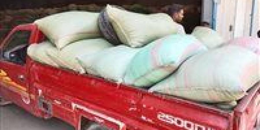 بالبلدي: استمرار
      أعمال
      توريد
      القمح
      بتوريد
      511
      ألف
      طن
      بالمنيا