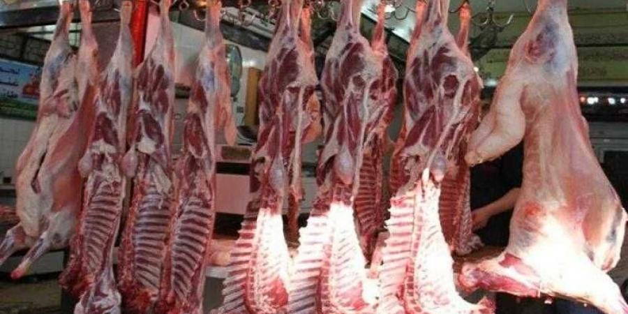 بالبلدي : أسعار
      اللحوم
      الحمراء
      اليوم
      الأحد