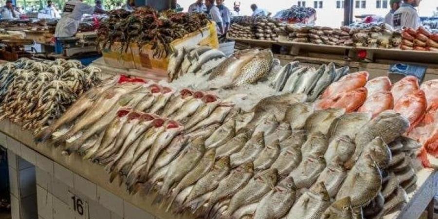 بالبلدي: البلطي
      الكبير
      بـ
      84
      جنيها..
      أسعار
      الأسماك
      والجمبري
      اليوم
      الأحد
      29
      يونيو
      2025