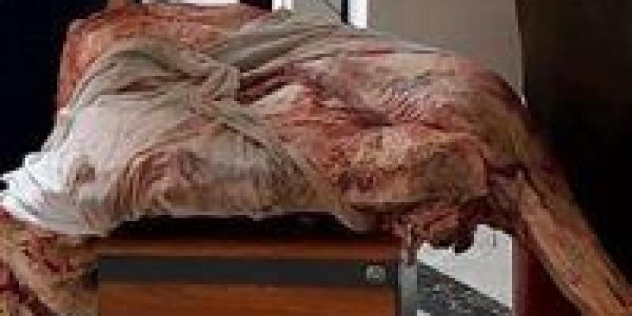 بالبلدي: بيطري
      الغربية:
      التحفظ
      على
      243
      كيلو
      أغذية
      غير
      صالحة
      للاستهلاك
      الأدمى
      ومجهولة
      البيانات
