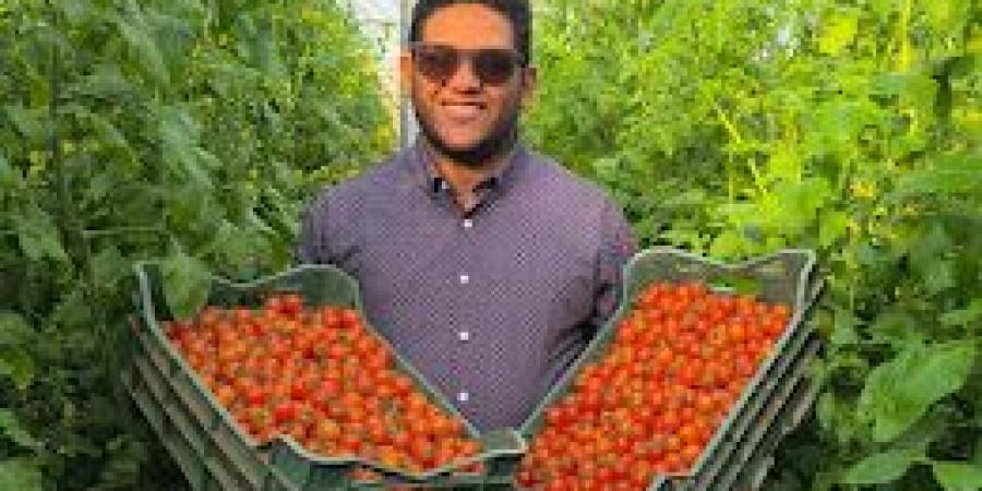 بالبلدي : ياسين
      صبري
      ياسين