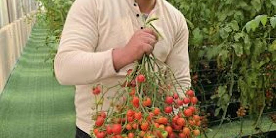 بالبلدي : ياسين
      صبري
      ياسين