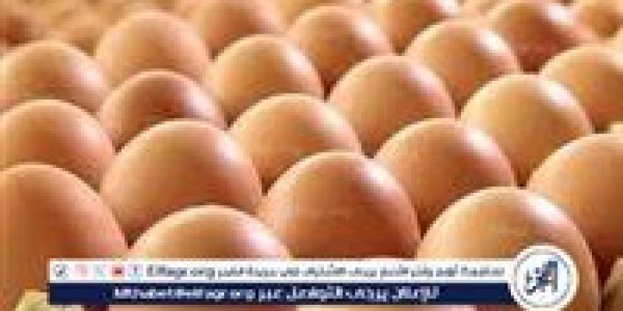 بالبلدي: أسعار
      طبق
      البيض
      اليوم
      الثلاثاء
      1-6-2025
      في
      الدقهلية