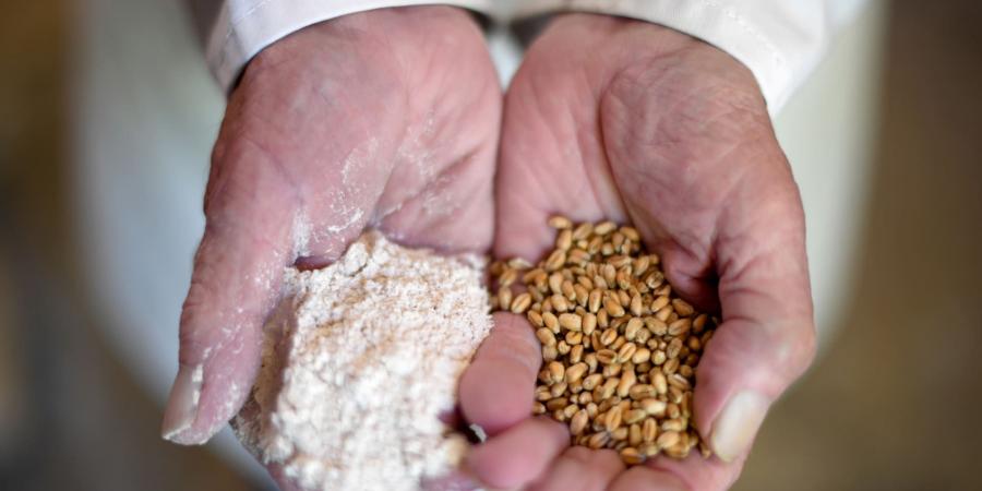 بالبلدي: أبرز 6 بدائل صحيّة للدقيق الأبيض المُكرّر