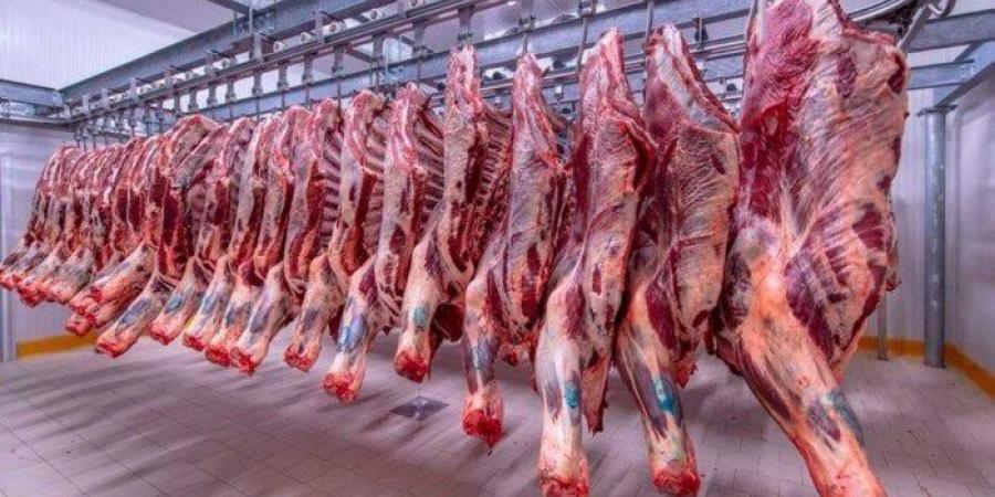 بالبلدي: البتلو
      بكام
      النهاردة؟..
      أسعار
      اللحوم
      اليوم
      الثلاثاء
      1
      يوليو
      2025