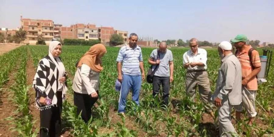 الإرشاد
      الزراعي:
      ينفذ
      700
      ندوة
      استفاد
      منها
      أكثر
      من
      10000
      مزارع
      خلال
      شهر
      يونيو