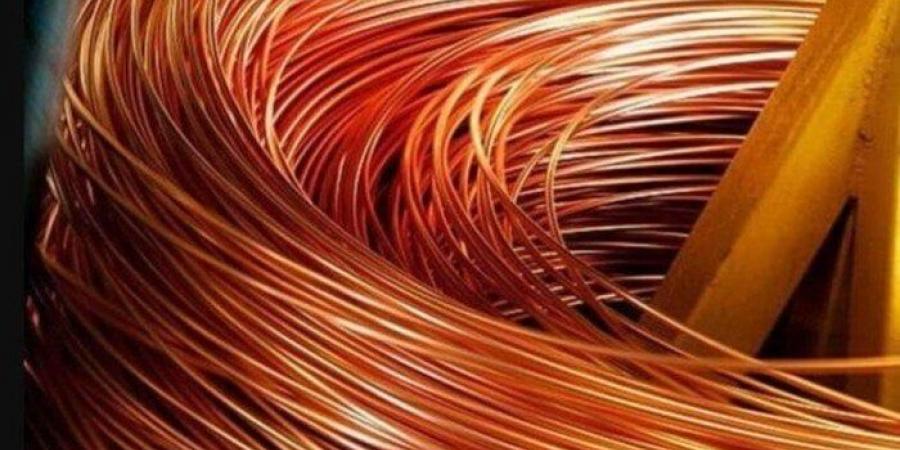 بالبلدي: سعر
      كيلو
      النحاس
      اليوم
      الثلاثاء
      1
      يوليو
      2025..
      بكام
      الأحمر
      والأصفر
      النهارده؟