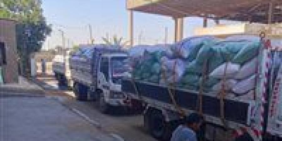 بالبلدي: محافظة
      بني
      سويف:
      توريد
      282
      ألف
      طن
      قمح
      للشون
      والصوامع