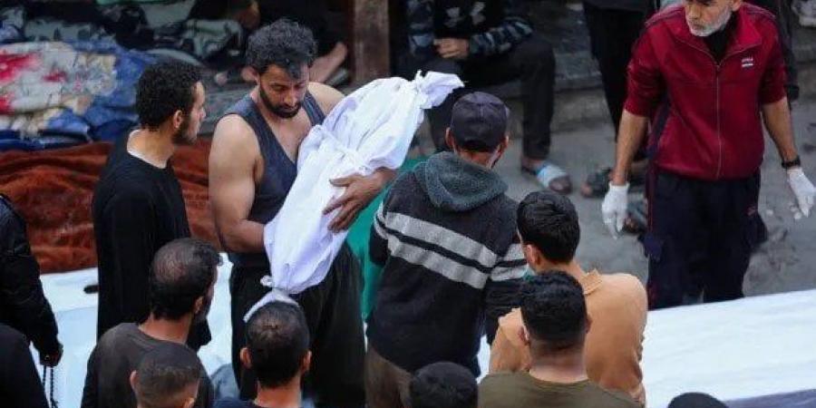 بالبلدي : بينهم
      28
      من
      منتظري
      المساعدات..
      63
      شهيدا
      في
      قصف
      الاحتلال
      لقطاع
      غزة