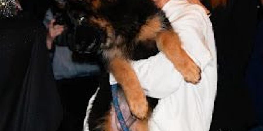 بالبلدي : How
      Royal
      Tribes
      K9
      Delivers
      a
      World-Class
      Puppy
      Experience?