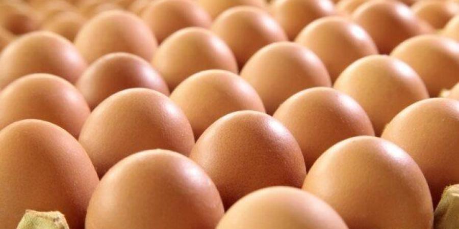 بالبلدي : سعر
      كرتونة
      البيض
      اليوم
      الخميس
      3-7-2025
      للمستهلك..
      الأحمر
      بكام
      النهارده؟