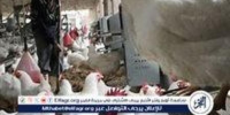 بالبلدي: أسعار
      الفراخ
      البيضاء
      اليوم
      الجمعة
      4-7-2025
      في
      الدقهلية