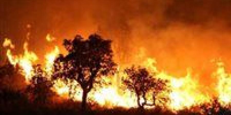بالبلدي: السلطات
      السورية
      تخلي
      قرى
      ومناطق
      مأهولة
      جراء
      حرائق
      غابات
      اللاذقية