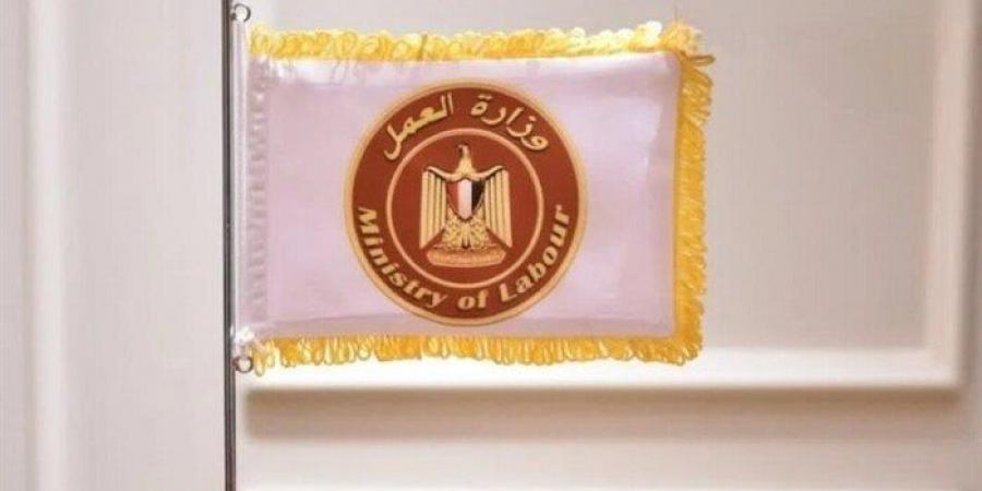 بالبلدي : «العمل»
      توفر
      وظائف
      جديدة
      بإحدى
      المدارس
      الخاصة
      للغات..
      الشروط
      ورابط
      التقديم