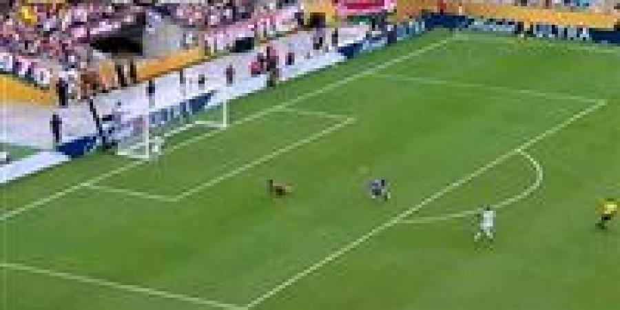 بالبلدي: الهلال
      السعودي
      يودع
      مونديال
      الأندية
      من
      الباب
      الكبير
      وتأهل
      فلومينينسي
      البرازيلي