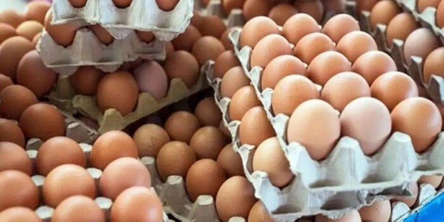 بالبلدي: سعر
      كرتونة
      البيض
      اليوم
      السبت
      5
      يوليو
      2025
      في
      منافذ
      البيع