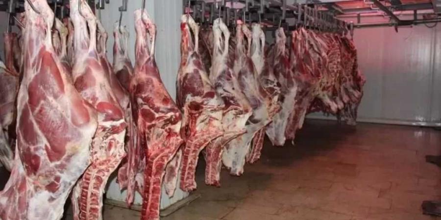 بدء
      تلقي
      طلبات
      الترشح
      لانتخابات
      مجلس
      الشيوخ
      في
      مختلف
      المحافظات