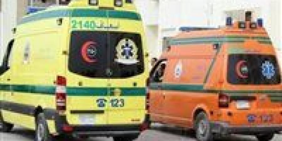 بالبلدي: مأساة
      في
      سوهاج..
      وفاة
      طفلة
      إثر
      سقوط
      حائط
      من
      الطوب
      والطين
      عليها