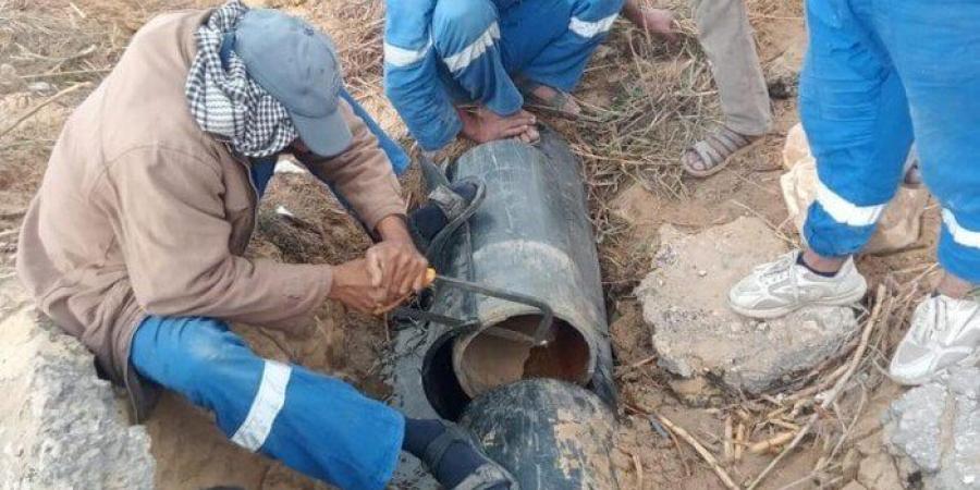 بالبلدي : الانتهاء
      من
      تطهير
      شبكات
      مياه
      القناة
      من
      جذور
      الأشجار
      بمنطقة
      الـ
      40
      فدان