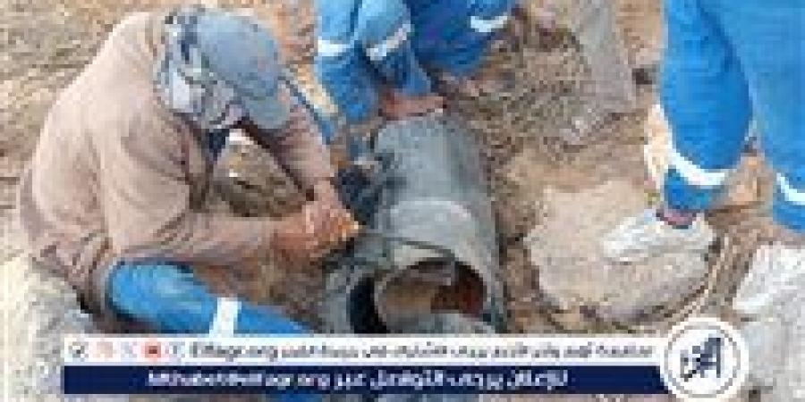 بالبلدي: رئيس
      مياه
      القناة:
      استخراج
      جذور
      الأشجار
      من
      شبكة
      لـ
      40
      فدان
      بالقنطرة
      شرق