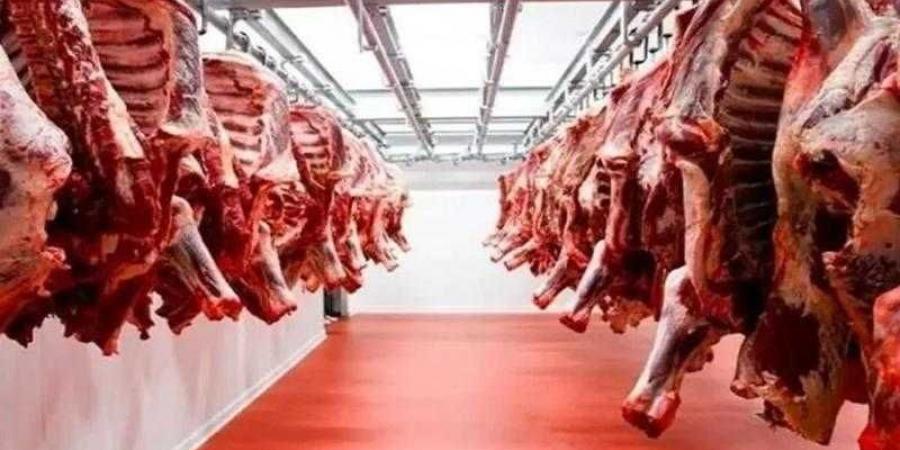 بالبلدي : أسعار
      اللحوم
      الحمراء
      اليوم
      الإثنين