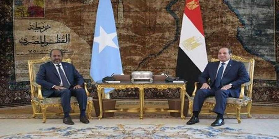 بالبلدي : الرئيس
      السيسى
      يناقش
      مع
      نظيره
      الصومالى
      مشاركة
      مصر
      العسكرية
      فى
      بعثة
      الاتحاد
      الأفريقى