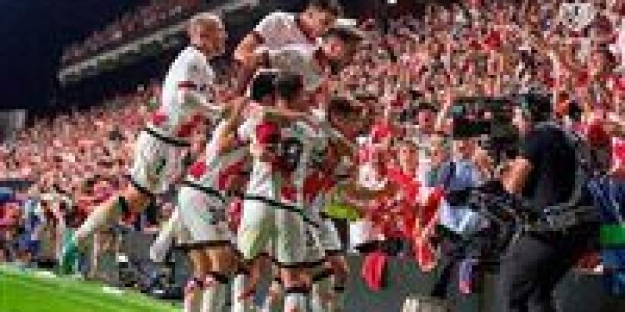 بالبلدي: رايو
      فاييكانو
      يتعاقد
      مع
      البرازيلي
      لويز
      فيليبي