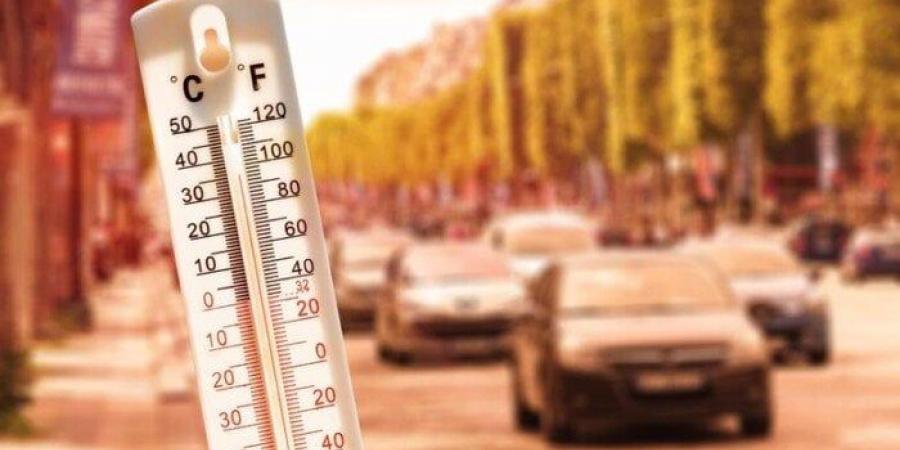 بالبلدي: أجواء
      حارة
      ورطوبة
      مرتفعة..
      تفاصيل
      حالة
      الطقس
      في
      مصر
      اليوم
      الاثنين
      7
      يوليو
      2025