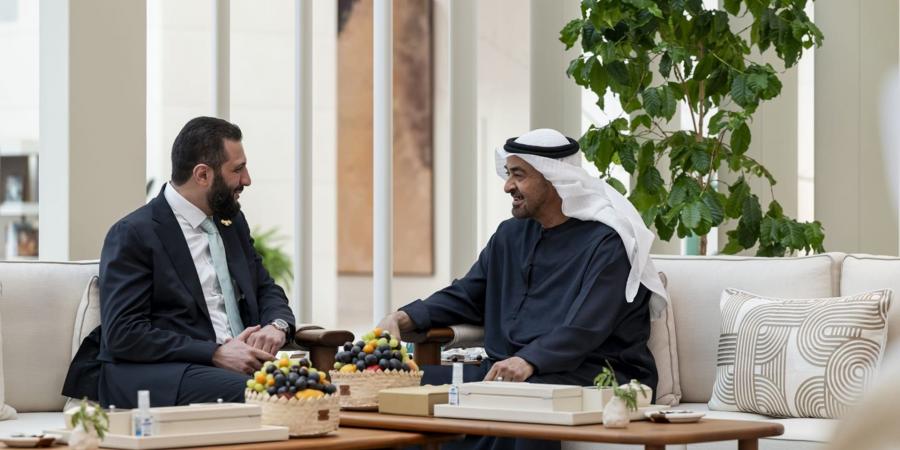 بالبلدي: قرقاش يكشف عن محور كان "في صلب" لقاء محمد بن زايد وأحمد الشرع