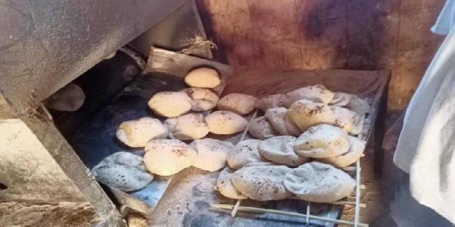 بالبلدي: تموين
      الفيوم:
      انتظام
      صرف
      الخبز
      بالمحافظة..
      وغرفة
      عمليات
      لتلقي
      الشكاوى