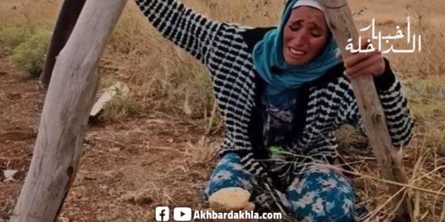 بالبلدي : النيابة
      العامة
      تكشف
      تفاصيل
      وفاة
      الطفل
      الراعي
      بإقليم
      ميدلت