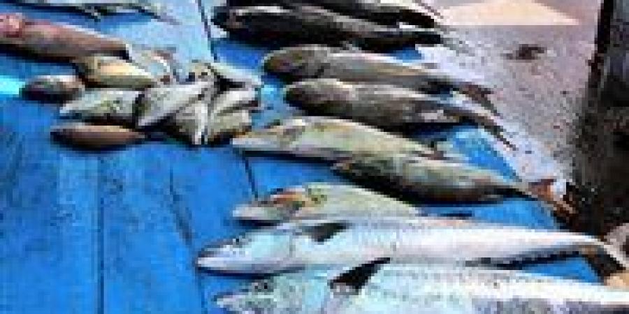 بالبلدي: أسعار
      السمك
      اليوم
      الأربعاء
      9
      -
      7
      -
      2025