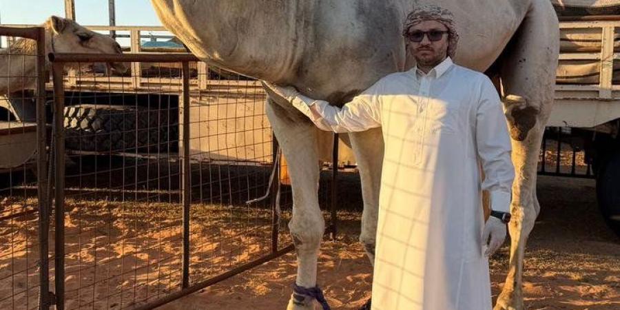 بالبلدي: الدكتور
      مالك
      الجوابرة
