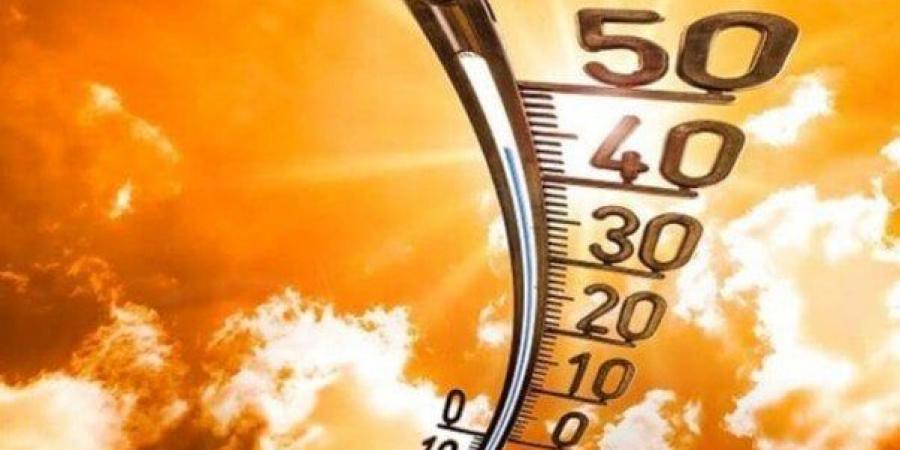 بالبلدي : ارتفاع
      نسب
      الرطوبة..
      الأرصاد
      تحذر
      من
      حالة
      الطقس
      اليوم
      الأربعاء
      9
      يوليو
      2025