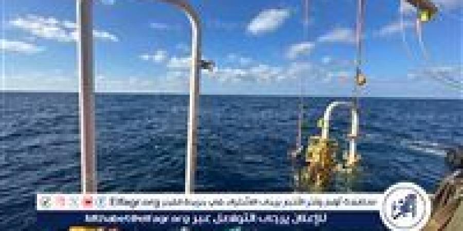 بالبلدي: عاجل-
      البرلس
      تضيف
      بئر
      "سبارو
      ويست-1"
      للإنتاج
      بـ40
      مليون
      قدم
      مكعب
      غاز
      يوميًا..
      إنجاز
      جديد
      في
      دعم
      الشبكة
      القومية