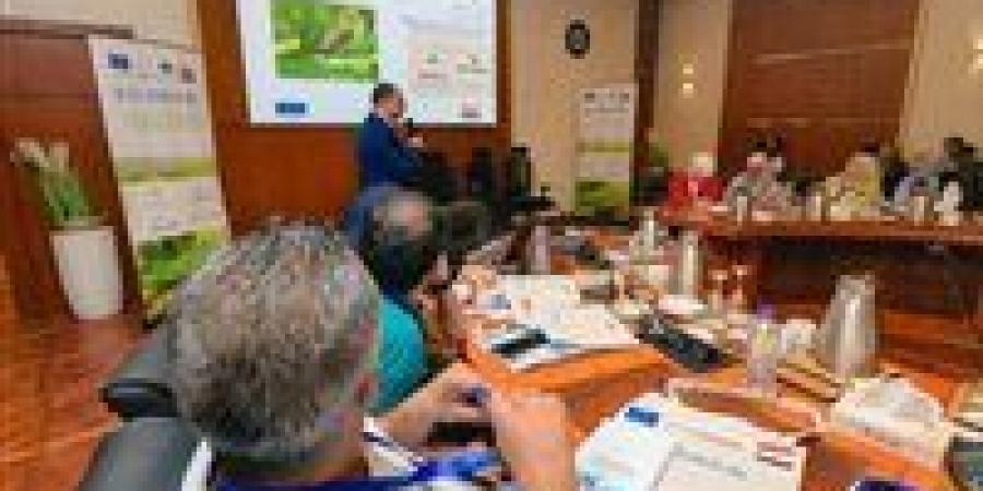 بالبلدي: "الزراعة"
      تعلن
      بدء
      الموسم
      التصديري
      الجديد
      لمحصول
      البرتقال
      المصري
      في
      هذا
      التوقيت