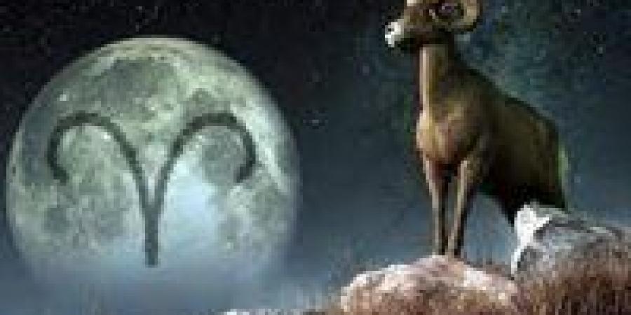 بالبلدي: حظك
      اليوم
      برج
      الجدي
      الخميس
      20-11-2025