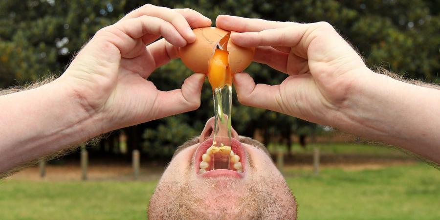 belbalady ماذا يحدث لجسمك عند تناول البيض النيئ؟