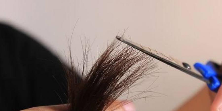 بالبلدي : جميع
      مواعيد
      أيام
      قص
      الشعر
      للتكثيف
      2026
      من
      كل
      شهر
      على
      مدار
      السنة