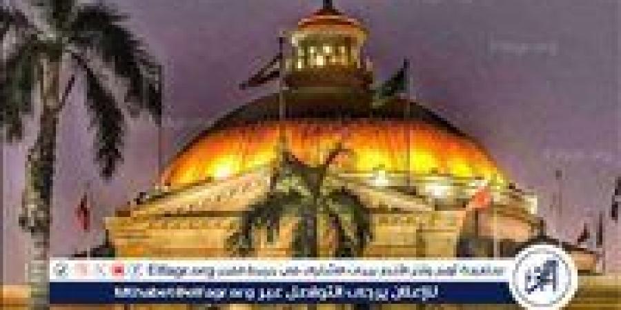 بالبلدي: جامعة
      القاهرة:
      29
      جامعة
      مصرية
      في
      تصنيف
      QS
      2026…
      منهم
      3
      لأول
      مرة